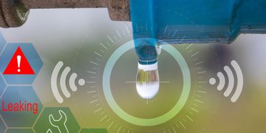 Leak Detector Valves